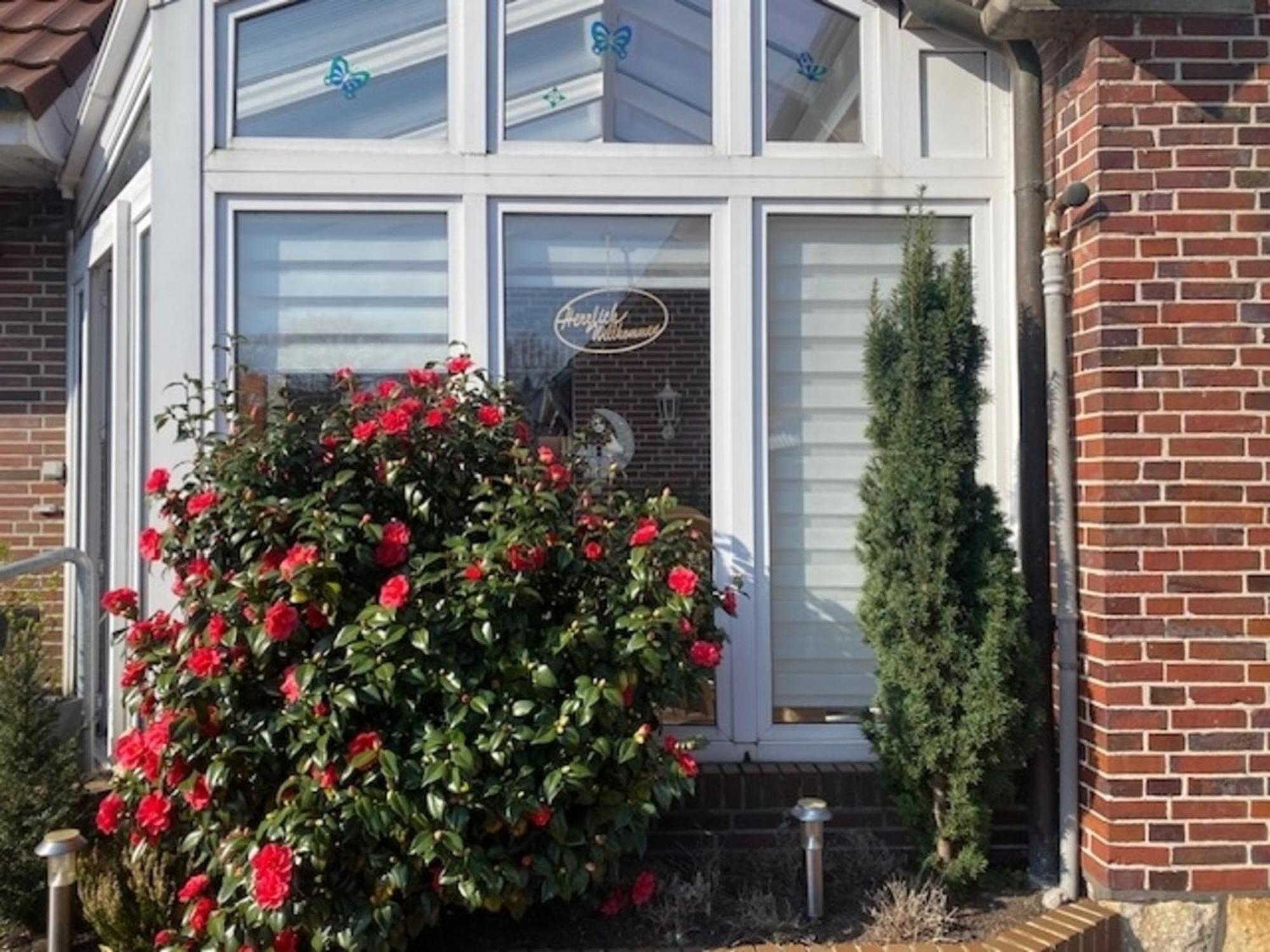Ferienwohnung Haus - Neue Düne - Dankern Exterior foto
